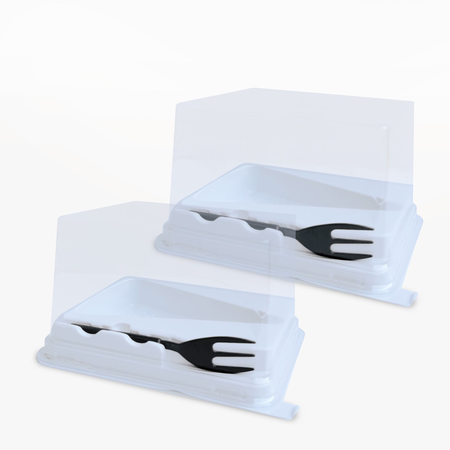 Cake Slice Packaging