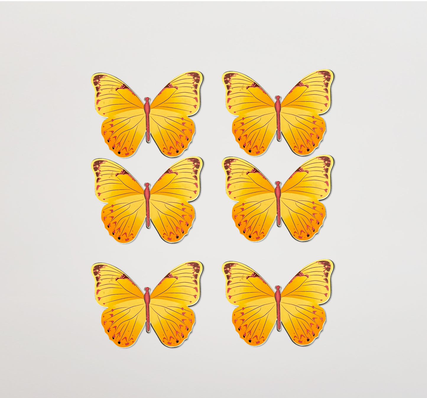 Butterflies Bloom
