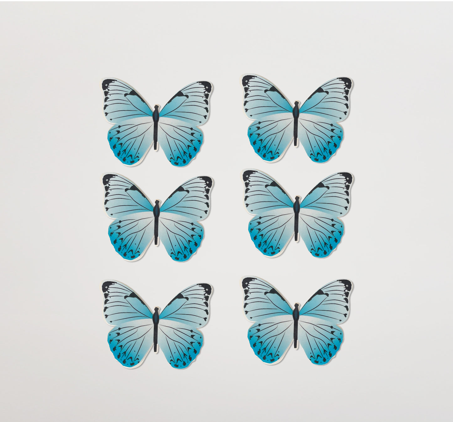 Butterflies Bloom