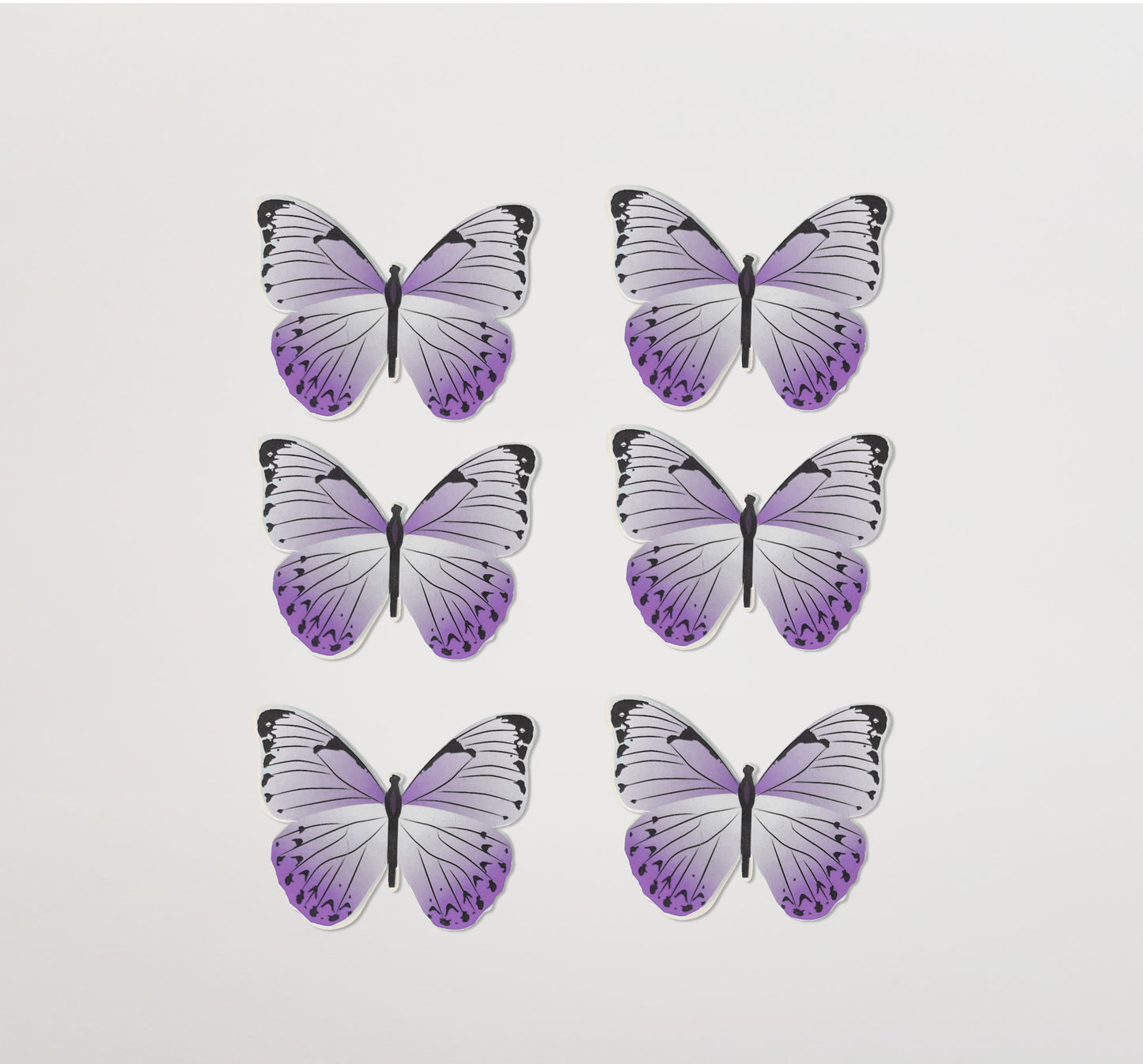 Butterflies Bloom