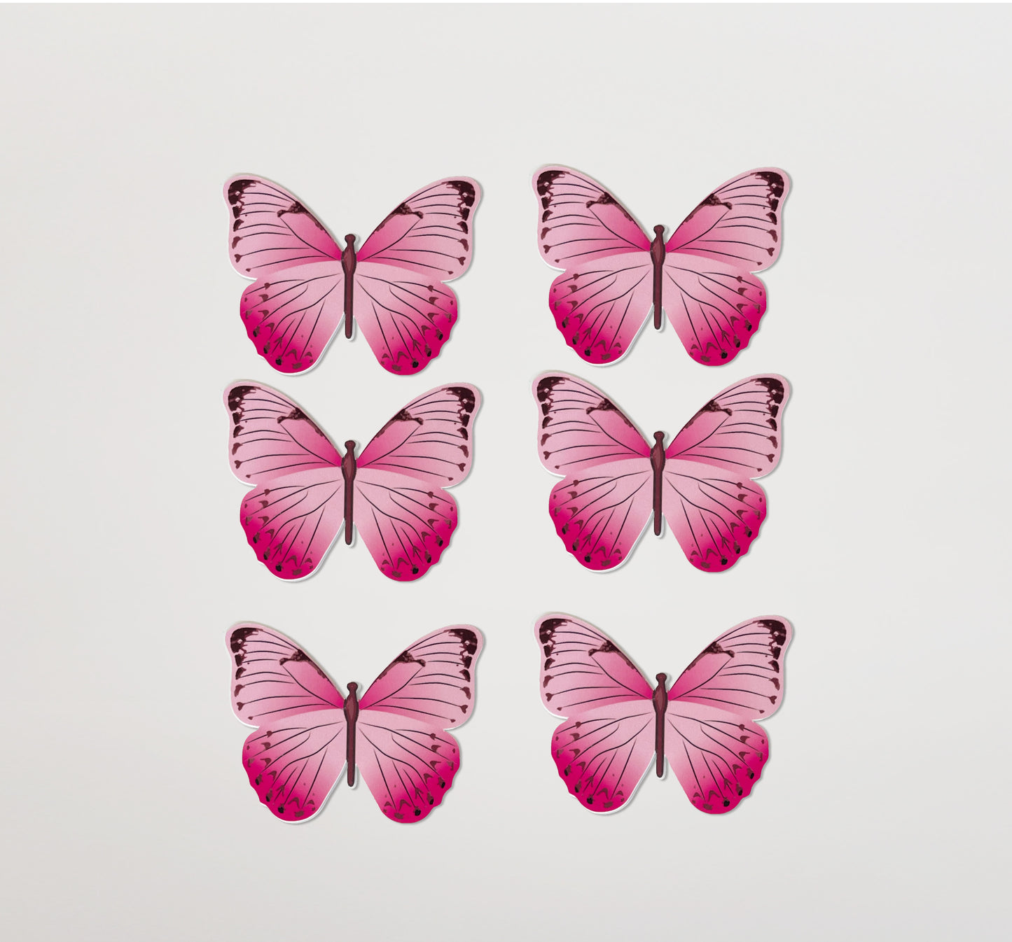Butterflies Bloom