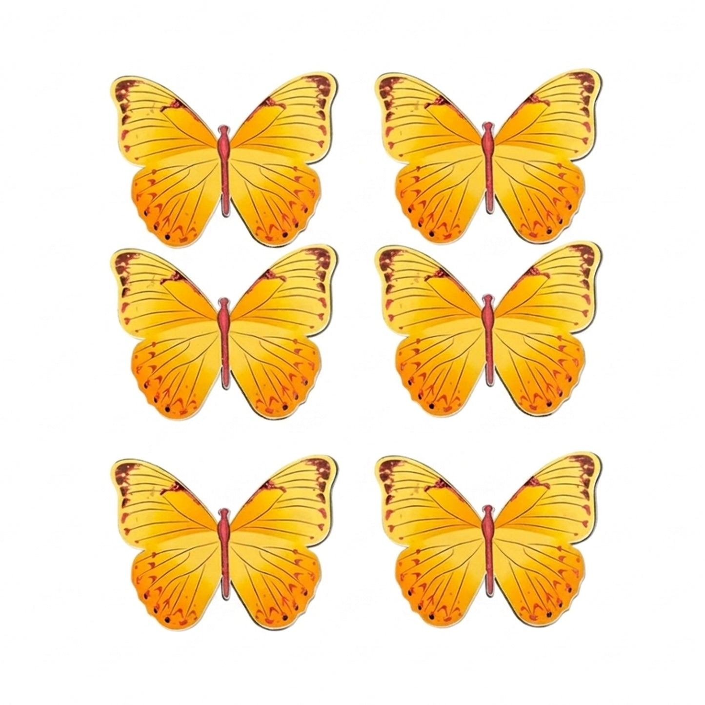 Butterflies Bloom
