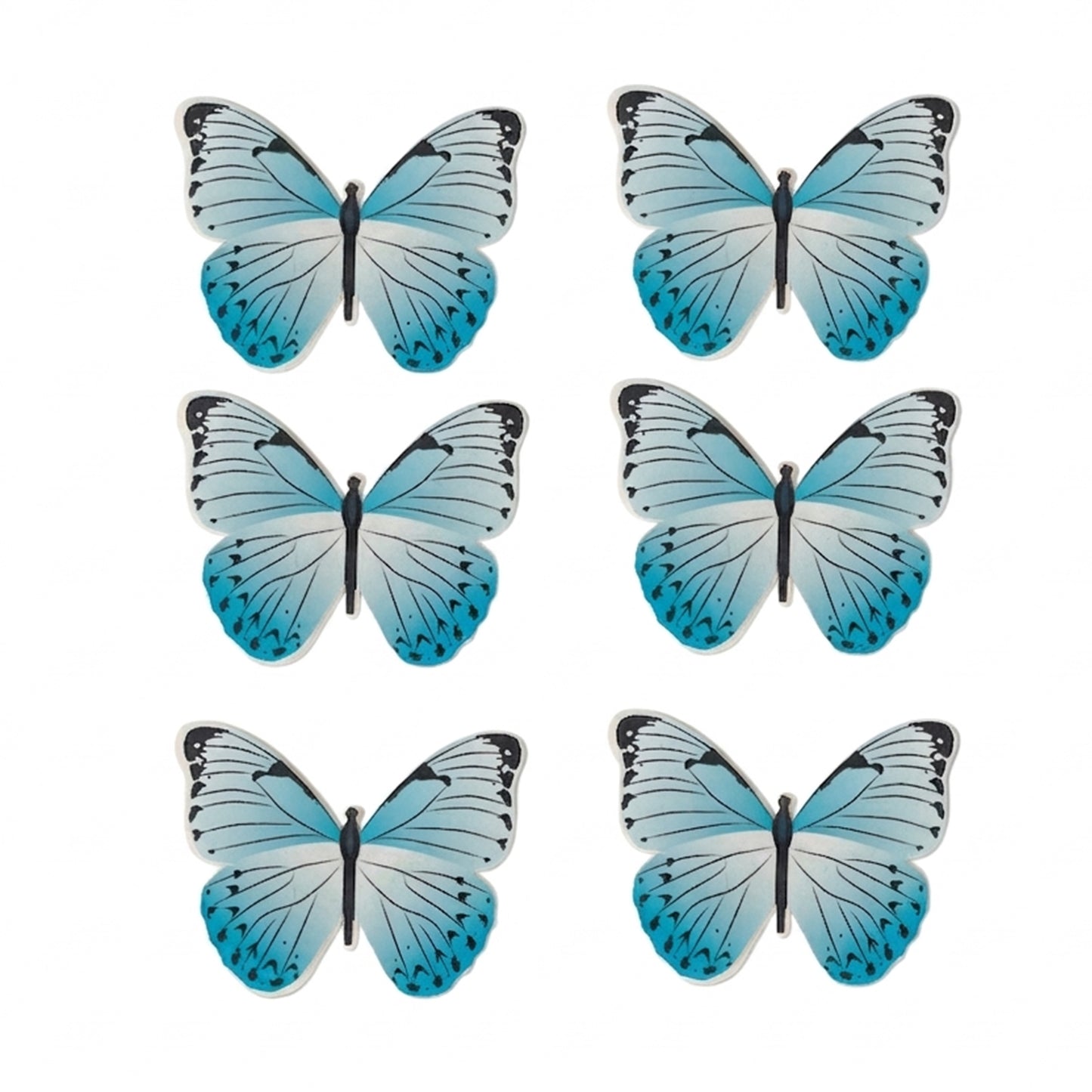 Butterflies Bloom