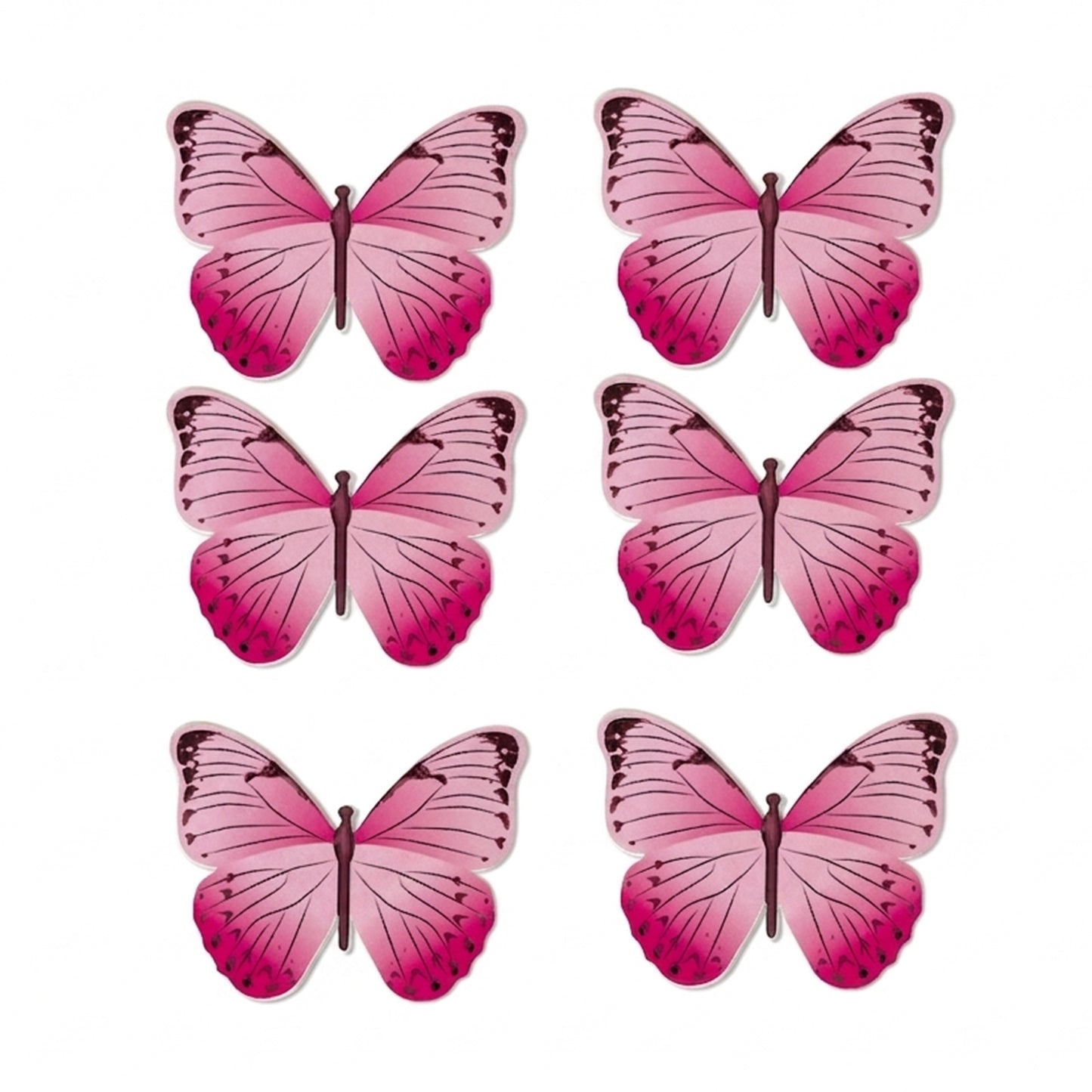 Butterflies Bloom