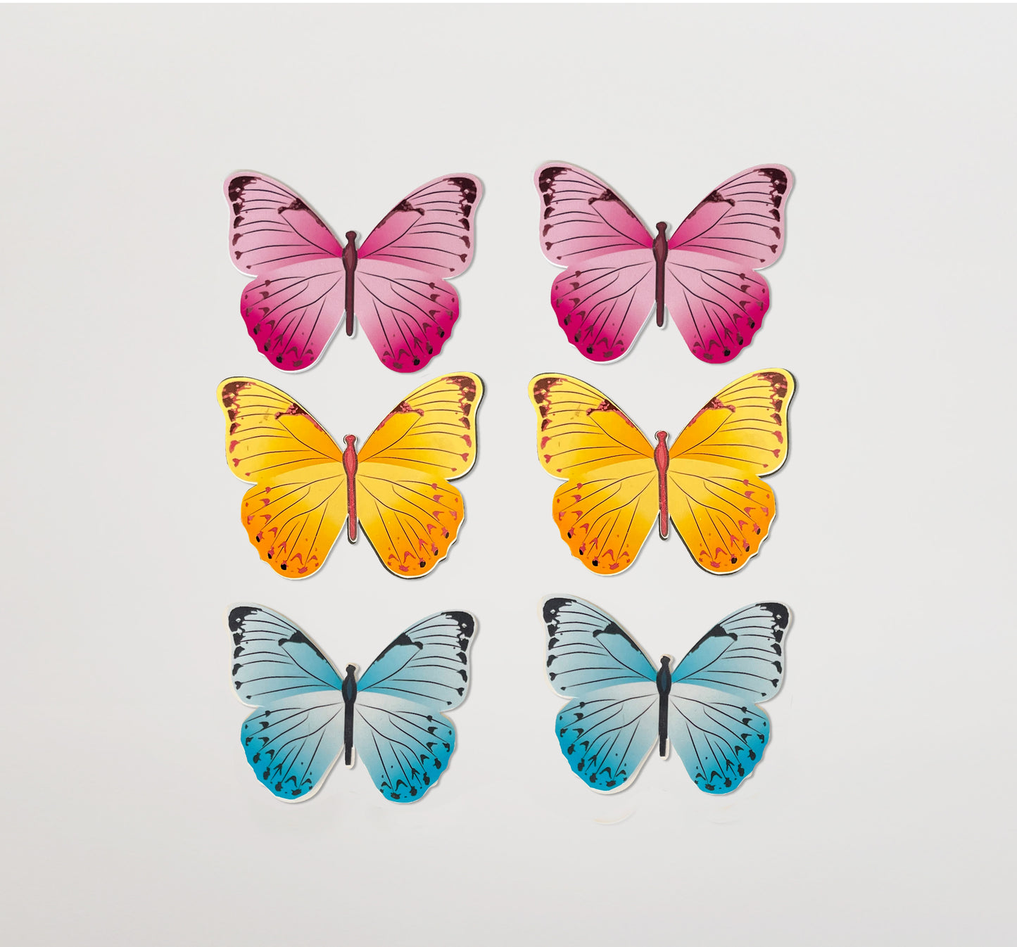 Kit Mariposas de Colores