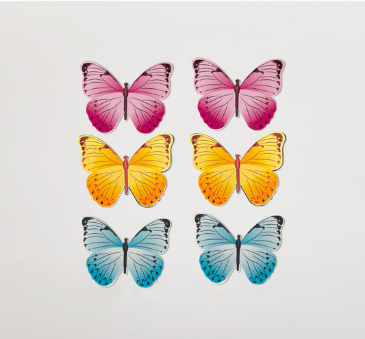 Colored Butterflies Kit